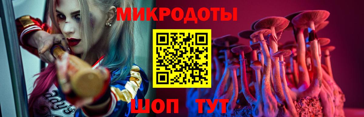 Ейск  Псилоцибиновые грибы мицелий  как найти закладки  Галлюциногенные грибы Cubensis  Вход с VPN 