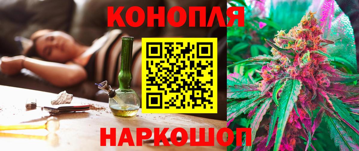 Альфа ПВП Ейск